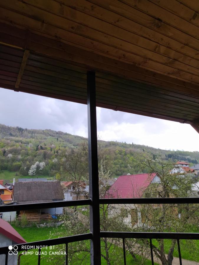 Panorama *